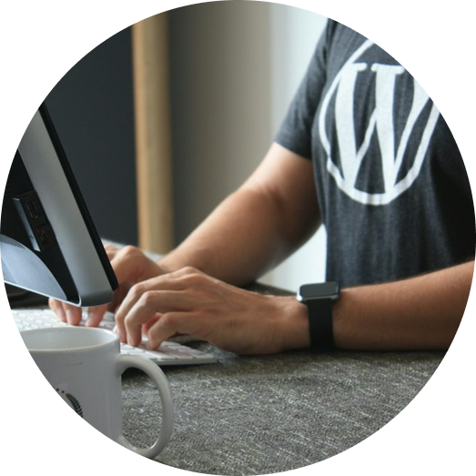 WordPress Maintenance & Support